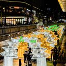 수안초등학교 | 부산 온천천 빛축제 야경명소 데이트 산책로 놀곳 정보