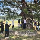 (주)넥스트퓨처랩 | 강원문화재단 무브먼트 아트랩 기억기반 세대연계 교육 넥스트레벨 프로젝트 참여후기