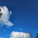 웅천친수공원 | 여수시 웅천동 웅천친수공원캠핑장 웅천해수욕장 24번 데크 이용후기 캠핑장 추천 장점단점