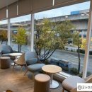 블루샥 동김해 DT점 이미지