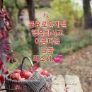 10월6일 뉴스브리핑 이미지