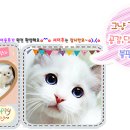 볼 때리는 집 이미지