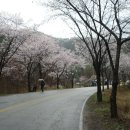박을천 Daum카페
