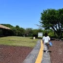 샘천목장 | [제주 돌 문화공원] 2박 3일 제주여행 알차게 보내기.