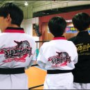 리틀타이거 태권도 이미지