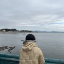 (주)일뚝집 | 1/15-1/21 먹는 일상 몰빵(보령다사랑,피에몬테,서산풍전뚝집,서산용용선생, 간월도 ,카페간월)