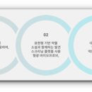 플렉서스파트너스