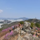 황령산 벚꽃약수터 이미지