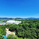 홍익골든빌아파트 | 안성시 금광면 홍익골든빌 아파트 - GH 및 LH 전세임대 지원금으로 장판 시공 후기