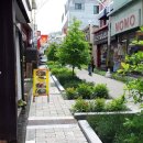 상무지구보행자도로 이미지