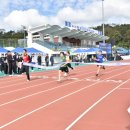 봉화공설운동장 이미지