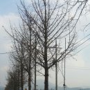 현대화학공업(주) 이미지