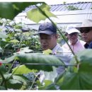 버섯구지마을 이미지