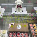 펫인푸드 이미지