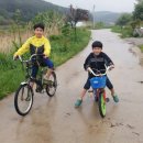 하늘뜰 농장 이미지