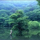 호수풍경 이미지