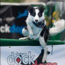 복슬강아지 이미지