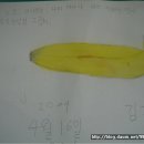 혜림화원