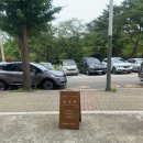봄달향