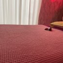 닥터안마원 이미지