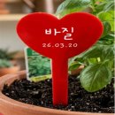 식물마루