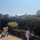 팔월펜션 | 제주 구좌숙소 팔월의라 근처 별방진 노을보기