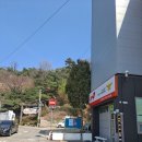 고양이 140마리가 있는 고양이 카페 &#39;고양이정원&#39; 내돈내산 솔직후기