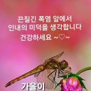 윤태화 다시또 &뉴스 이미지