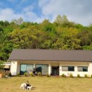 제이위드 이미지