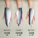 아이밥상 | 고등어밥상 가시없는 고등어, 아이들이 정말 잘 먹은 생선 후기