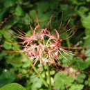 성북동-853 이미지