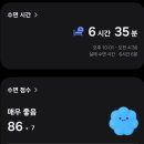 (주)현일랩메이트 | 가을의 전설, 2025 춘천마라톤 인생 첫 풀코스(3:26:50) 후기