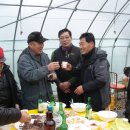 김정열농장 Daum카페