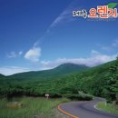 ㈜나라렌트 이미지