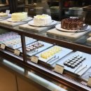 우정렌트카 이미지