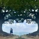 유사장 직화구이 | 25년 8월 2박3일 공주,부여 여행(2)