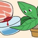 희석이네