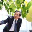 민선농장 네이버블로그