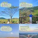 오름부동산중개사무소 네이버블로그