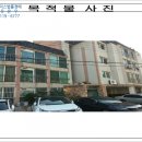 동조리젠시 이미지