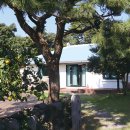 돌담집민박 이코노미조선