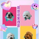 연제구-127 이미지