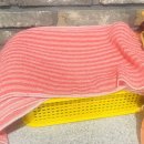 제주참숯가마찜질방 이미지