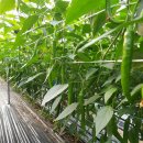 신나농장 이미지