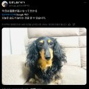 머리와사람들 이미지