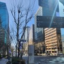 푸른 식물병원 이미지