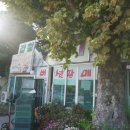 갈월버섯농장 이미지