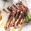 네이월 펫푸드 이미지