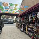 [미국 서부여행] Day 4. 뚜벅이로 샌디에고 여행(홉 온 홉 오프 트롤리 버스투어🚌) | 필스바베큐 | 미국...