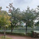 중원사나래사나래관광농원 | 50장 꽉꽉채운 10월 2주 (성남 최박사돈까스, 171관광농원, 청평캠핑장 추천, 코오롱오두막7.8)